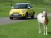 Fiat Trekking 2014 Picture #109