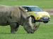 Fiat Trekking 2014 Picture #38