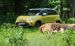 Fiat Trekking 2014 Widescreen Picture #12
