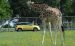 Fiat Trekking 2014 Widescreen Picture #5