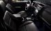 Ford 2010 Escape Widescreen Picture #3