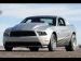 Ford 2010 Mustang Cobra Jet Picture #13