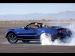 Ford 2010 Mustang Picture #15