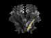 Ford 2011 Mustang V6 Picture #17