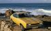 Ford A TRUE PROFESSIONAL THE CAPRI AT FORTY Widescreen Picture #5