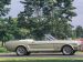 Ford CELEBRATES 45TH ANNIVERSARY OF MUSTANG Picture #6