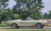 Ford CELEBRATES 45TH ANNIVERSARY OF MUSTANG Widescreen Picture #45
