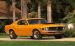 Ford CELEBRATES 45TH ANNIVERSARY OF MUSTANG Widescreen Picture #79