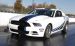 Ford Cobra Jet Twin Turbo Concept Widescreen Picture #54