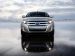 Ford Edge 2011 Picture #46