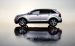 Ford Edge 2011 Widescreen Picture #7
