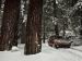 Ford Explorer 2011 Picture #15
