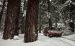 Ford Explorer 2011 Widescreen Picture #29
