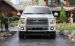 Ford F 150 Limited 2016 Widescreen Picture #27