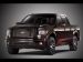 Ford Harley Davidson F 150 2010 Picture #4