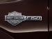 Ford Harley Davidson F 150 2010 Picture #21