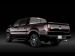 Ford Harley Davidson F 150 2010 Picture #12