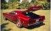 Ford Mach 1 Concept 1966 Widescreen Picture #10