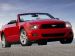 Ford Mustang 2010 Picture #21