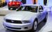 Ford Mustang 2010 Widescreen Picture #18