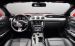 Ford Mustang 2015 Widescreen Picture #9