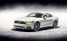 Ford Mustang 50 Year Limited Edition 2015 Widescreen Picture #20