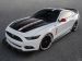Ford Mustang Apollo Picture #16