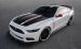 Ford Mustang Apollo Widescreen Picture #10