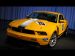 Ford Mustang BOSS 302R 2011 Picture #1