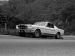 Ford Shelby GT350 Mustang 1964 Picture #2