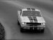 Ford Shelby GT350 Mustang 1964 Picture #30