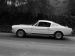 Ford Shelby GT350 Mustang 1964 Picture #18