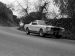 Ford Shelby GT350 Mustang 1964 Picture #10