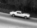 Ford Shelby GT350 Mustang 1964 Picture #8