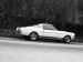 Ford Shelby GT350 Mustang 1964 Picture #33