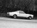 Ford Shelby GT350 Mustang 1964 Picture #33