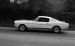 Ford Shelby GT350 Mustang 1964 Widescreen Picture #28