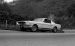 Ford Shelby GT350 Mustang 1964 Widescreen Picture #1