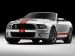 Ford Shelby GT500 2011 Picture #26
