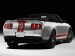 Ford Shelby GT500 2011 Picture #10