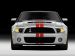 Ford Shelby GT500 2011 Picture #16