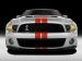 Ford Shelby GT500 2011 Picture #13