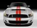 Ford Shelby GT500 2011 Picture #12