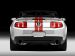 Ford Shelby GT500 2011 Picture #20