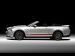 Ford Shelby GT500 2011 Picture #3