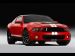 Ford Shelby GT500 2011 Picture #2