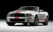 Ford Shelby GT500 2011 Widescreen Picture #25