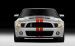 Ford Shelby GT500 2011 Widescreen Picture #4