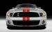 Ford Shelby GT500 2011 Widescreen Picture #17
