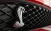 Ford Shelby GT500 2011 Widescreen Picture #6